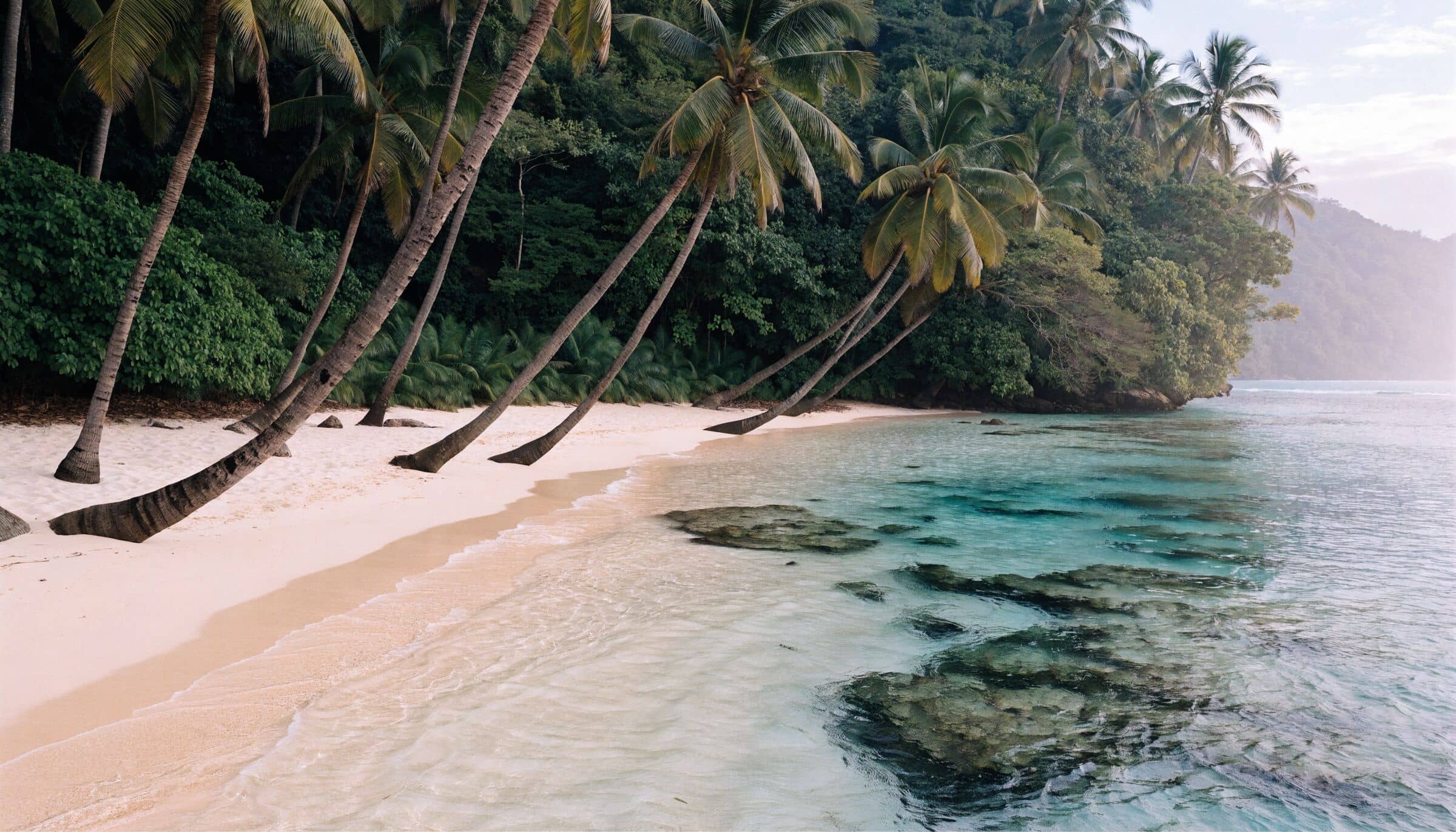Des cocotiers penchés sur une plage de la Caraïbe, eau turquoise sur le récif