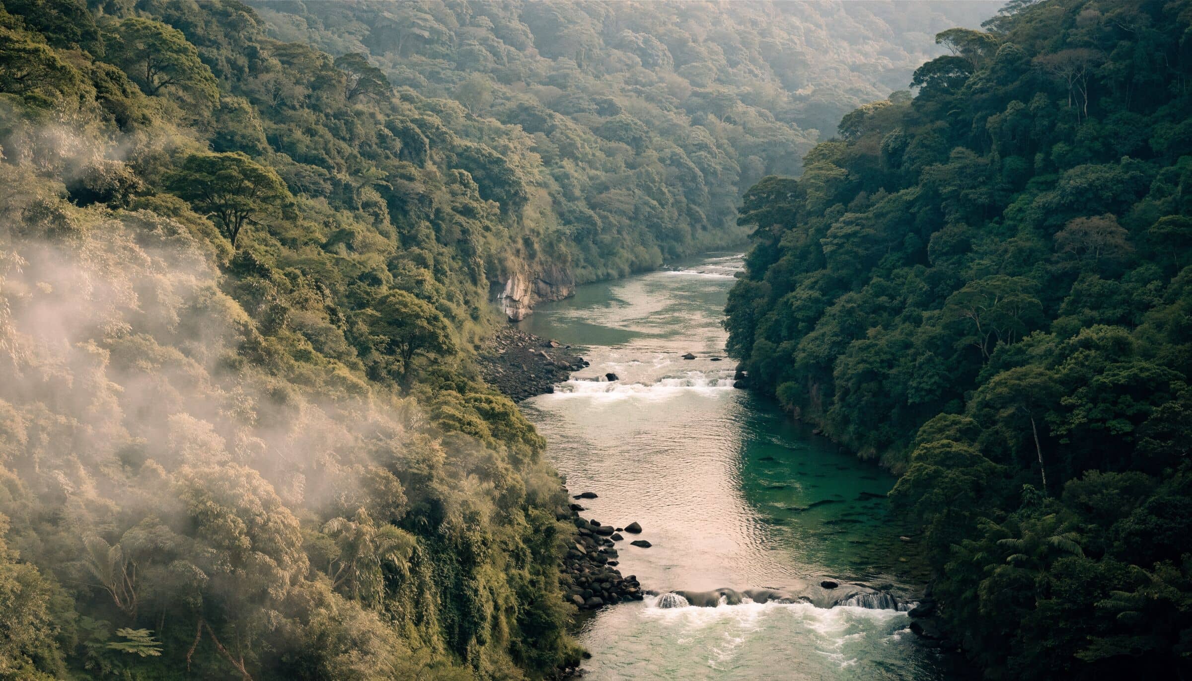 Le canyon du río Pacuare, près de Turrialba, entre deux versants de forêt dans la brume